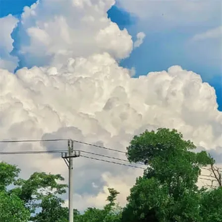 霸权