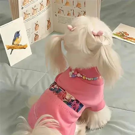旭光