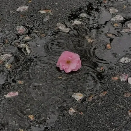 欧气