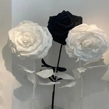 王小