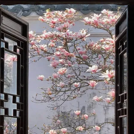 飘摇