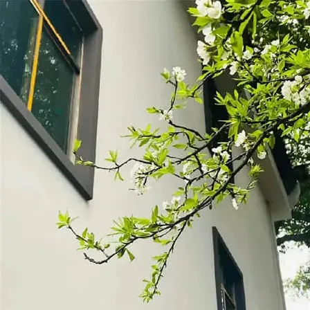 文采