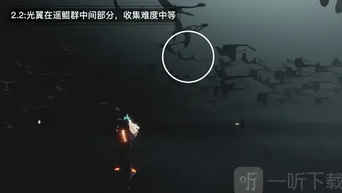 光遇具体位置