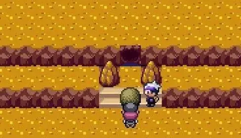 一路口袋妖怪