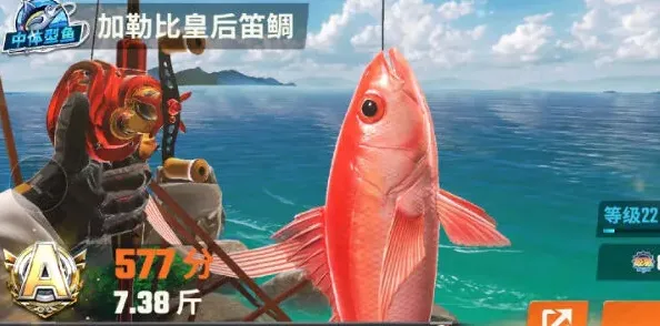 欢乐钓鱼大师技巧