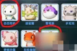 出发吧麦芬宠物