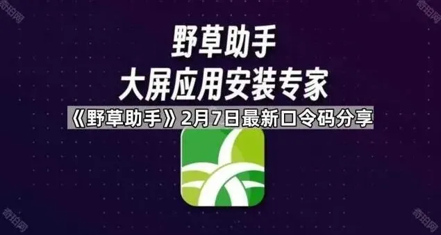 《TA》2月7日最新口令码分享操作指南