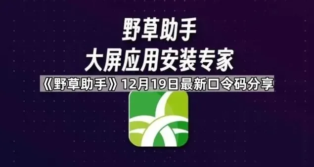 夸克：12月23日最新口令码完整分享教程