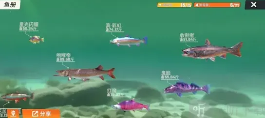 欢乐钓鱼大师一条鱼