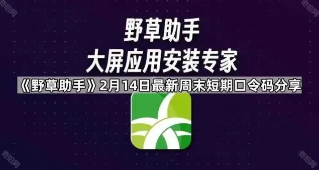 《TA》短期口令码2月14日最新周末分享教程