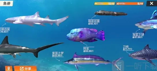 欢乐钓鱼大师洪湖
