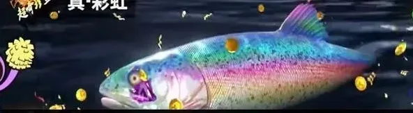 欢乐钓鱼大师真彩虹全面钓鱼指南