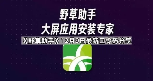 《TA》12月9日最新口令码分享与使用教程