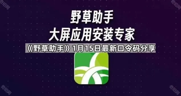 《TA》软件安装口令码技巧分享