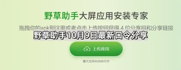 野草助手最新版口令分享详解