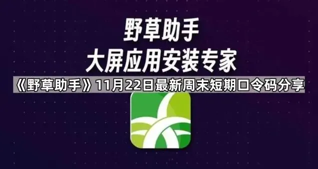《ES文件浏览器》：远程安装功能步骤指南