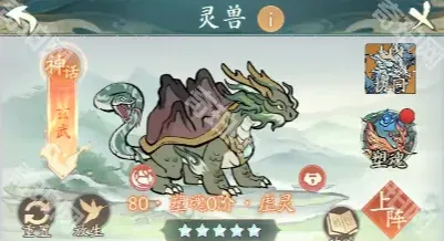 寻道大千搭配
