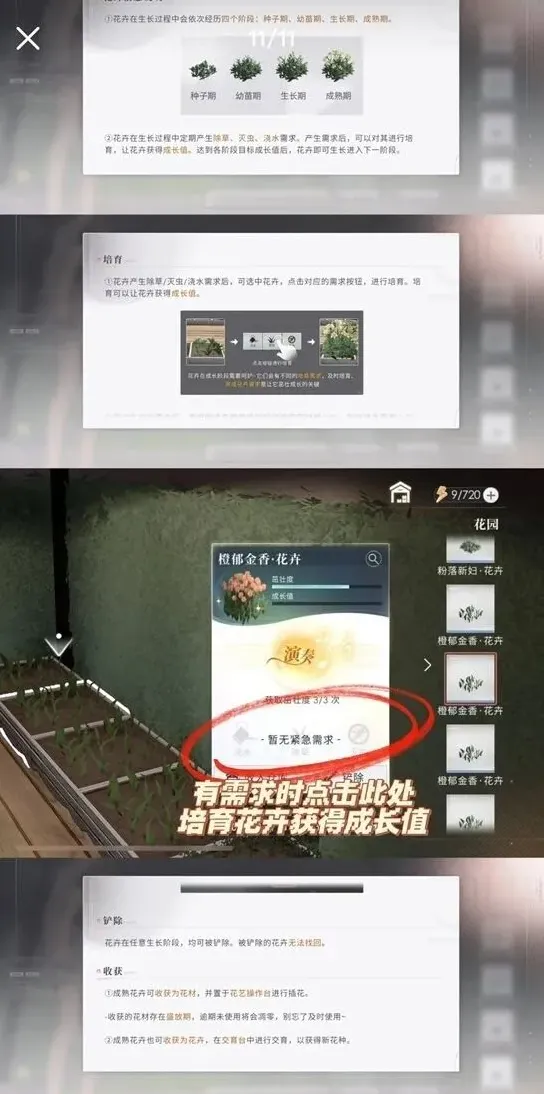 恋与深空与他