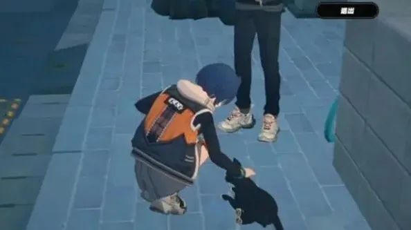 绝区零养小猫