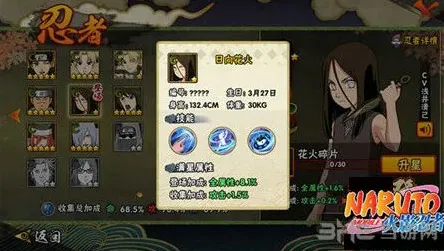 火影忍者日向花火