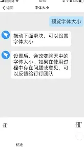 钉钉字体大小调节方法完整指南
