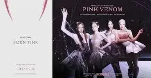 京东BLACKPINK专辑购买操作教程