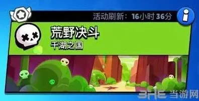 荒野乱斗分享