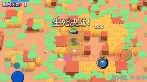 荒野乱斗决斗