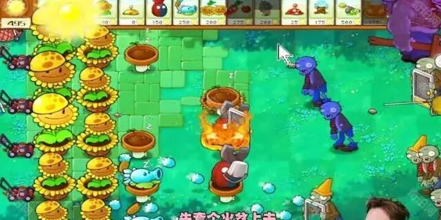植物大战僵尸攻略