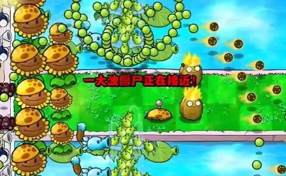 植物大战僵尸通关