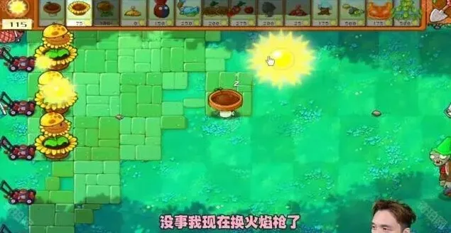 植物大战僵尸杂交