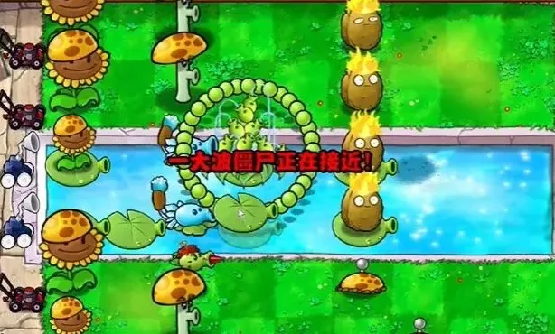 植物大战僵尸通关
