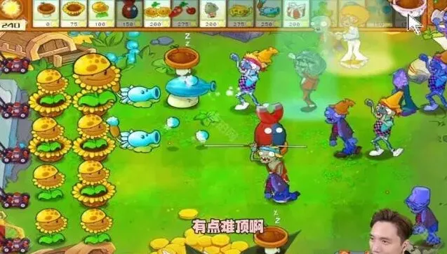 植物大战僵尸通关