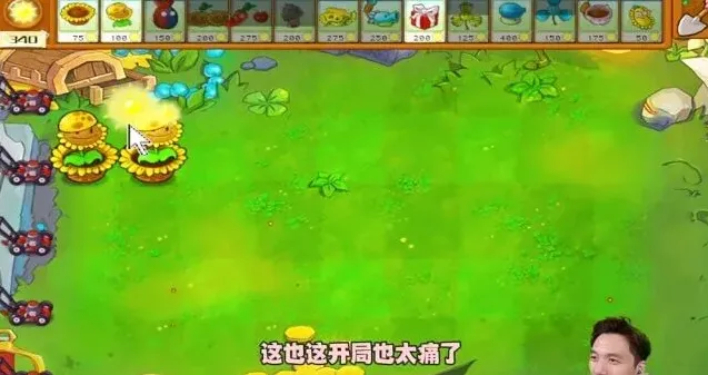 植物大战僵尸杂交