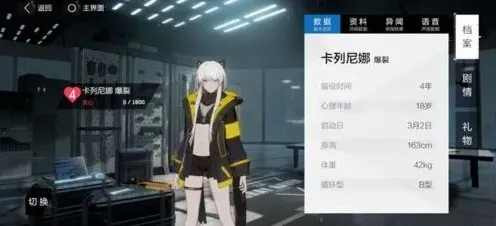 战双帕弥什构造体