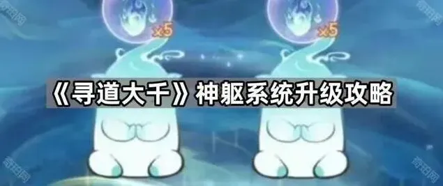 《寻道大千》神躯系统全面指南