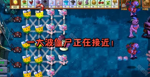 植物大战僵尸究极