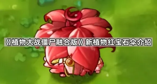 植物大战僵尸红宝石