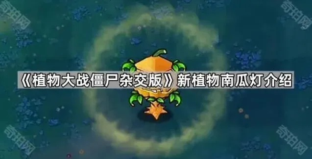 植物大战僵尸南瓜灯