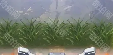 向僵尸开炮一览
