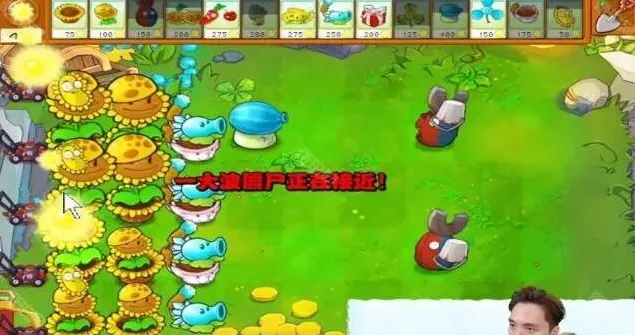 植物大战僵尸攻略