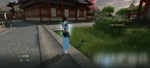 遇见中之人