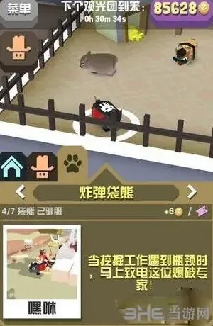 疯狂动物园袋熊
