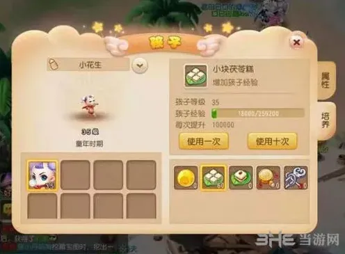 梦幻西游资质