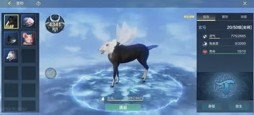 妄想山海涣散