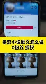 番茄小说入驻平台教程