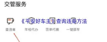 《平安好车主》驾驶行为评分查询操作步骤