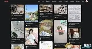 小红书网页登录技巧分享