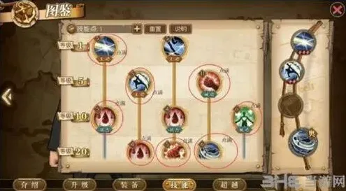 航海王燃烧意志卡古技能点分配攻略