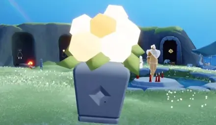 光遇花瓶